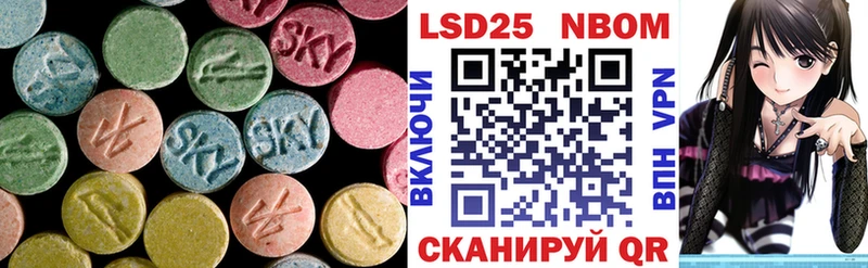 omg рабочий сайт  Шенкурск  ЛСД экстази ecstasy 