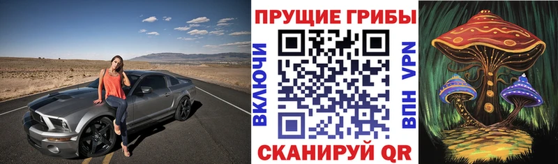 Псилоцибиновые грибы мухоморы  Шенкурск 